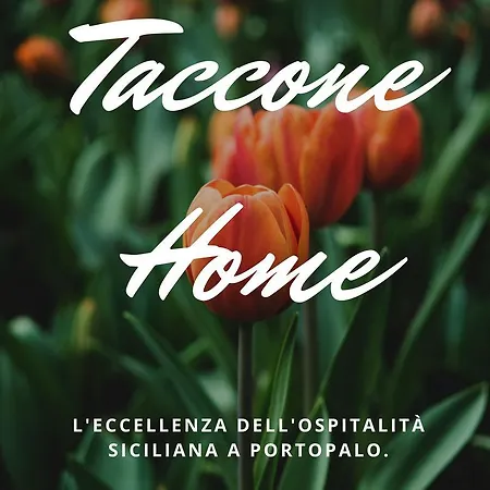 Taccone